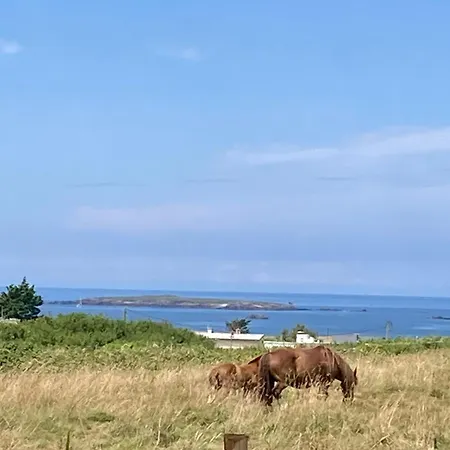 Le Jardin Des Dunes * Saint-Pabu (Finistere)